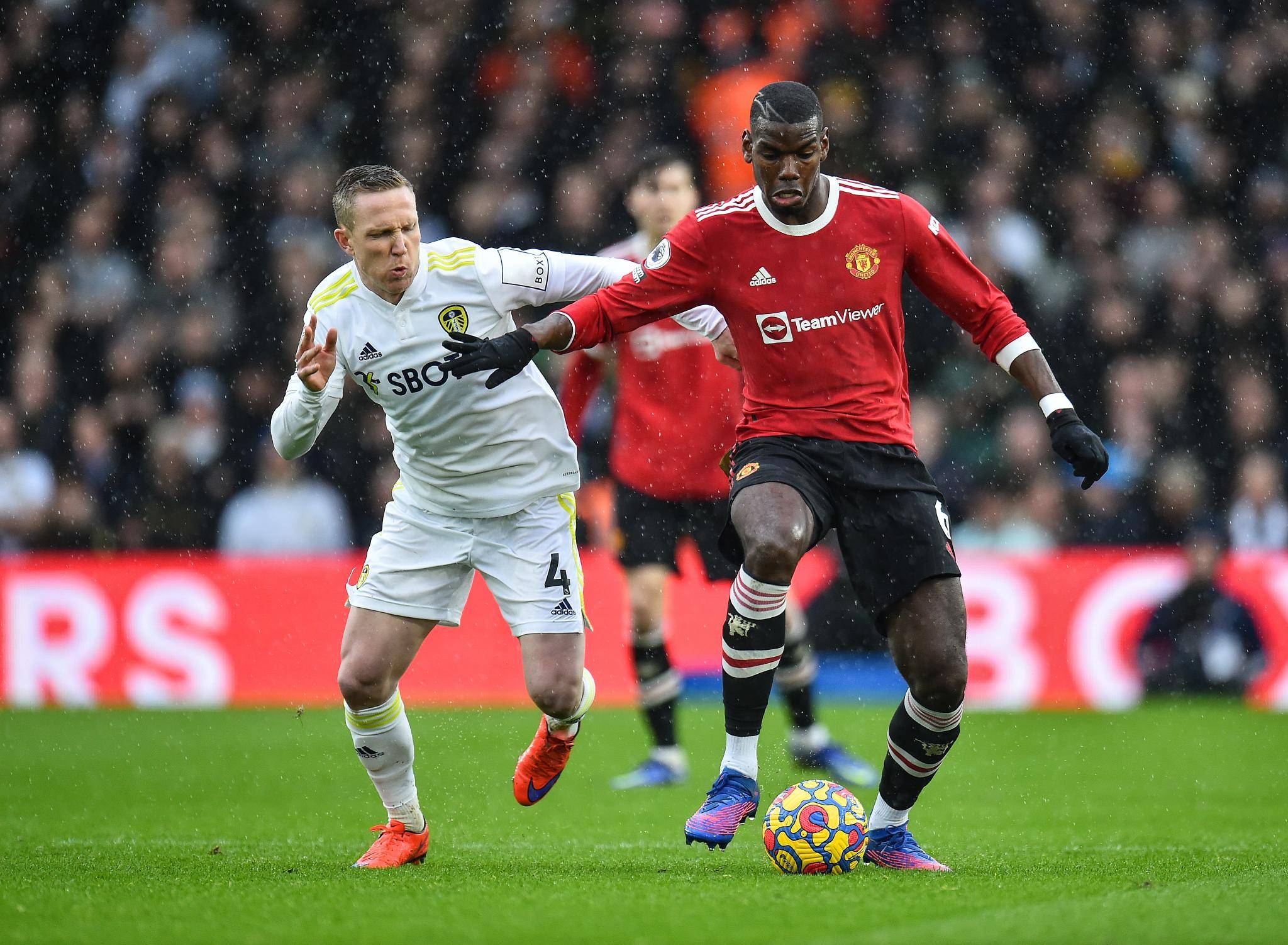 你要我帮你 你要我帮你